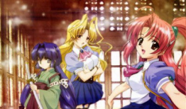 动漫 后宫,权谋与爱情的宫廷传奇